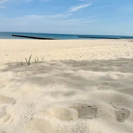 Destino * Мельно