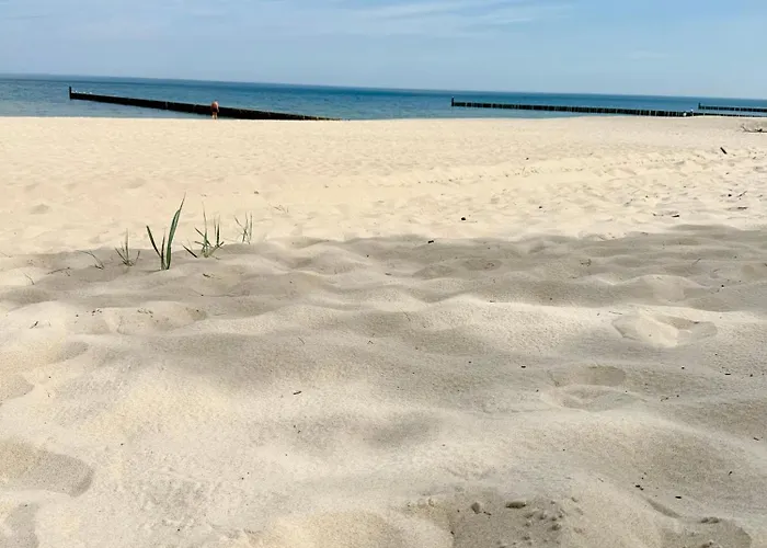 Destino * Мельно