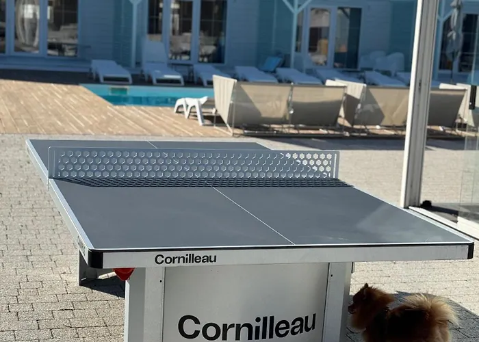 Деревянный коттедж Destino